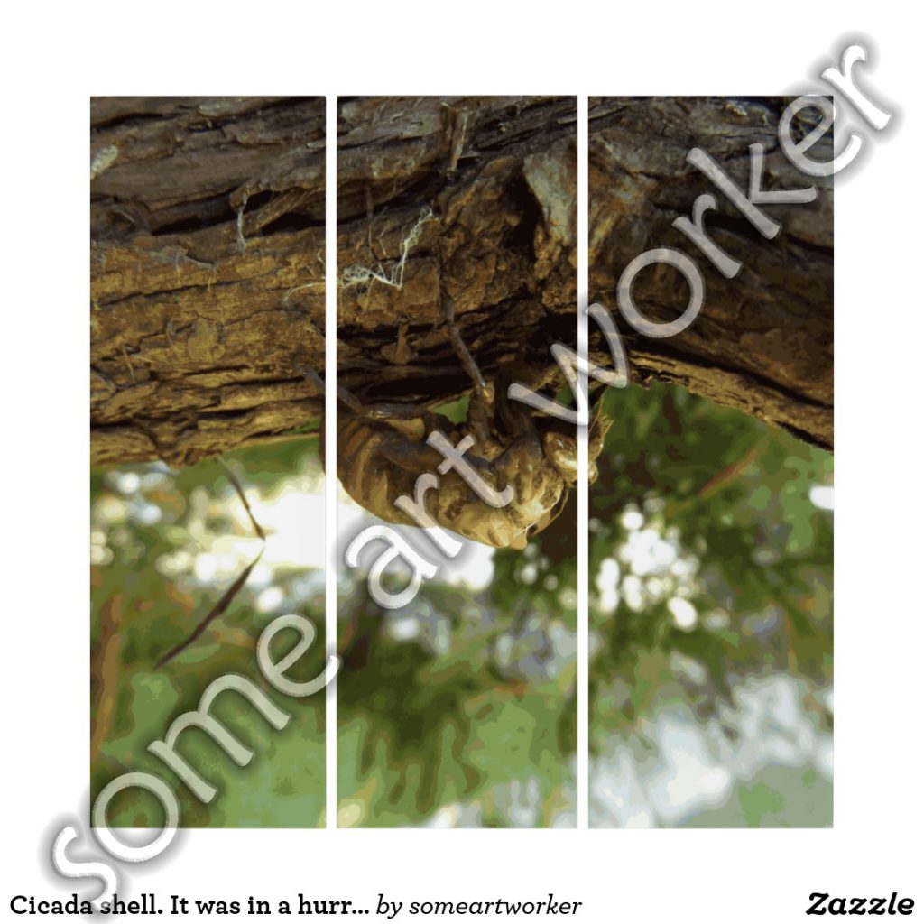 Cicada shell. It was in a hurry. Triptych by someartworker on Zazzle